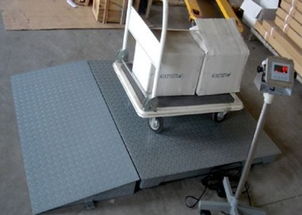 供应 厂家直销 1吨电子地泵,2吨电子地泵,3吨电子地泵