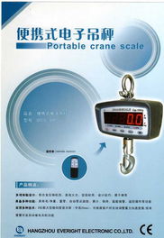 品牌电子吊秤厂家直销，首选长春天诚精品便携式电子吊秤—电脑